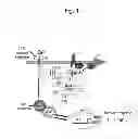 Fig. 02 - COMPOUNDS THAT MODULATE INTRACELLULAR CALCIUM