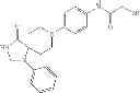 Fig. 906 - COMPOUNDS AND METHODS FOR IMPROVING IMPAIRED ENDOGENOUS FIBRINOLYSIS USING HISTONE DEACETYLASE INHIBITORS