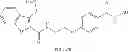 Fig. 951 - COMPOUNDS AND METHODS FOR IMPROVING IMPAIRED ENDOGENOUS FIBRINOLYSIS USING HISTONE DEACETYLASE INHIBITORS