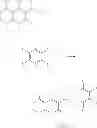 Fig. 24 - DEUTERATED N-ETHYL-N-PHENYL-1,2-DIHYDRO-4-HYDROXY-5-CHLORO-1-METHYL-2-OXOQUINOLINE-3-CARBOXAMIDE, SALTS AND USES THEREOF
