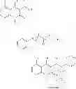 Fig. 25 - DEUTERATED N-ETHYL-N-PHENYL-1,2-DIHYDRO-4-HYDROXY-5-CHLORO-1-METHYL-2-OXOQUINOLINE-3-CARBOXAMIDE, SALTS AND USES THEREOF