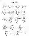 Fig. 03 - Method for increasing the activity of lysosomal enzymes