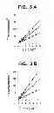 Fig. 05 - Method for increasing the activity of lysosomal enzymes