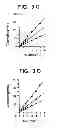 Fig. 06 - Method for increasing the activity of lysosomal enzymes