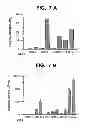 Fig. 12 - Method for increasing the activity of lysosomal enzymes