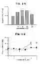 Fig. 13 - Method for increasing the activity of lysosomal enzymes