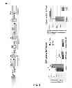 Fig. 08 - COMPOSITIONS AND METHODS FOR TREATING DEGENERATIVE MUSCLE CONDITIONS