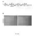 Fig. 15 - COMPOSITIONS AND METHODS FOR TREATING DEGENERATIVE MUSCLE CONDITIONS