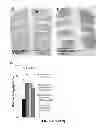 Fig. 26 - COMPOSITIONS AND METHODS FOR TREATING DEGENERATIVE MUSCLE CONDITIONS