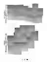 Fig. 29 - COMPOSITIONS AND METHODS FOR TREATING DEGENERATIVE MUSCLE CONDITIONS