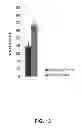 Fig. 33 - COMPOSITIONS AND METHODS FOR TREATING DEGENERATIVE MUSCLE CONDITIONS