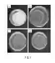 Fig. 08 - Method for treatment of disease caused or aggravated by microorganisms or relieving symptoms thereof
