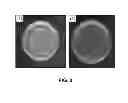 Fig. 09 - Method for treatment of disease caused or aggravated by microorganisms or relieving symptoms thereof