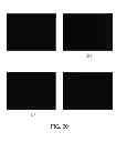 Fig. 31 - Method for treatment of disease caused or aggravated by microorganisms or relieving symptoms thereof