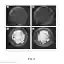 Fig. 06 - LOW-TACK SURFACE ANTI-MICROBIAL COATING COMPOSITION AND METHOD OF APPLICATION