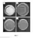 Fig. 09 - LOW-TACK SURFACE ANTI-MICROBIAL COATING COMPOSITION AND METHOD OF APPLICATION