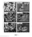 Fig. 13 - LOW-TACK SURFACE ANTI-MICROBIAL COATING COMPOSITION AND METHOD OF APPLICATION