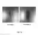 Fig. 35 - LOW-TACK SURFACE ANTI-MICROBIAL COATING COMPOSITION AND METHOD OF APPLICATION