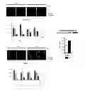 Fig. 03 - METHODS FOR THE TREATMENT AND DIAGNOSTIC OF PULMONARY ARTERIAL HYPERTENSION