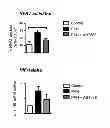Fig. 07 - METHODS FOR THE TREATMENT AND DIAGNOSTIC OF PULMONARY ARTERIAL HYPERTENSION