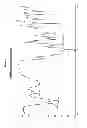 Fig. 05 - Crystalline salts of asenapine