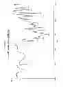 Fig. 08 - Crystalline salts of asenapine