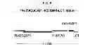 Fig. 04 - Methods targeting miR-128 for regulating cholesterol/lipid metabolism