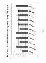 Fig. 06 - Optimized miRNA constructs