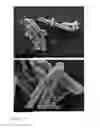 Fig. 16 - Solid forms of selective androgen receptor modulators