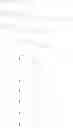 Fig. 43 - Pharmaceutical for oral delivery comprising MGBG and methods of treating disease