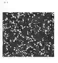 Fig. 05 - Rubber composition
