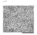 Fig. 02 - Rubber composition