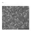 Fig. 04 - Rubber composition