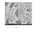 Fig. 02 - Thermoplastic poly(arylene ether)/polyamide blends and method of making