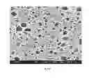 Fig. 03 - Thermoplastic poly(arylene ether)/polyamide blends and method of making