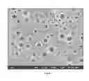 Fig. 04 - Thermoplastic poly(arylene ether)/polyamide blends and method of making