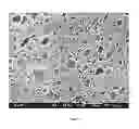 Fig. 05 - Thermoplastic poly(arylene ether)/polyamide blends and method of making