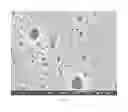Fig. 07 - Thermoplastic poly(arylene ether)/polyamide blends and method of making