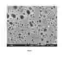 Fig. 10 - Thermoplastic poly(arylene ether)/polyamide blends and method of making