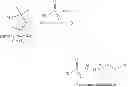 Fig. 19 - HIGH PURITY BISPHENOL-A AND POLYCARBONATE MATERIALS PREPARED THEREFROM