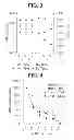 Fig. 03 - MULTI-COMPONENT CATALYST SYSTEMS FOR THE PRODUCTION OF REACTOR BLENDS OF POLYPROPYLENE