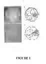 Fig. 02 - Quasicrystalline structures and uses thereof