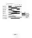 Fig. 08 - Methods for preparing internally constrained peptides and peptidomimetics