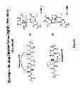Fig. 13 - Methods for preparing internally constrained peptides and peptidomimetics