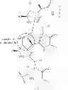 Fig. 19 - Methods for preparing internally constrained peptides and peptidomimetics