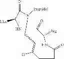 Fig. 26 - Methods for preparing internally constrained peptides and peptidomimetics