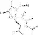 Fig. 27 - Methods for preparing internally constrained peptides and peptidomimetics