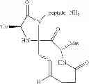 Fig. 28 - Methods for preparing internally constrained peptides and peptidomimetics