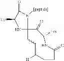 Fig. 29 - Methods for preparing internally constrained peptides and peptidomimetics