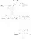 Fig. 41 - Methods for preparing internally constrained peptides and peptidomimetics